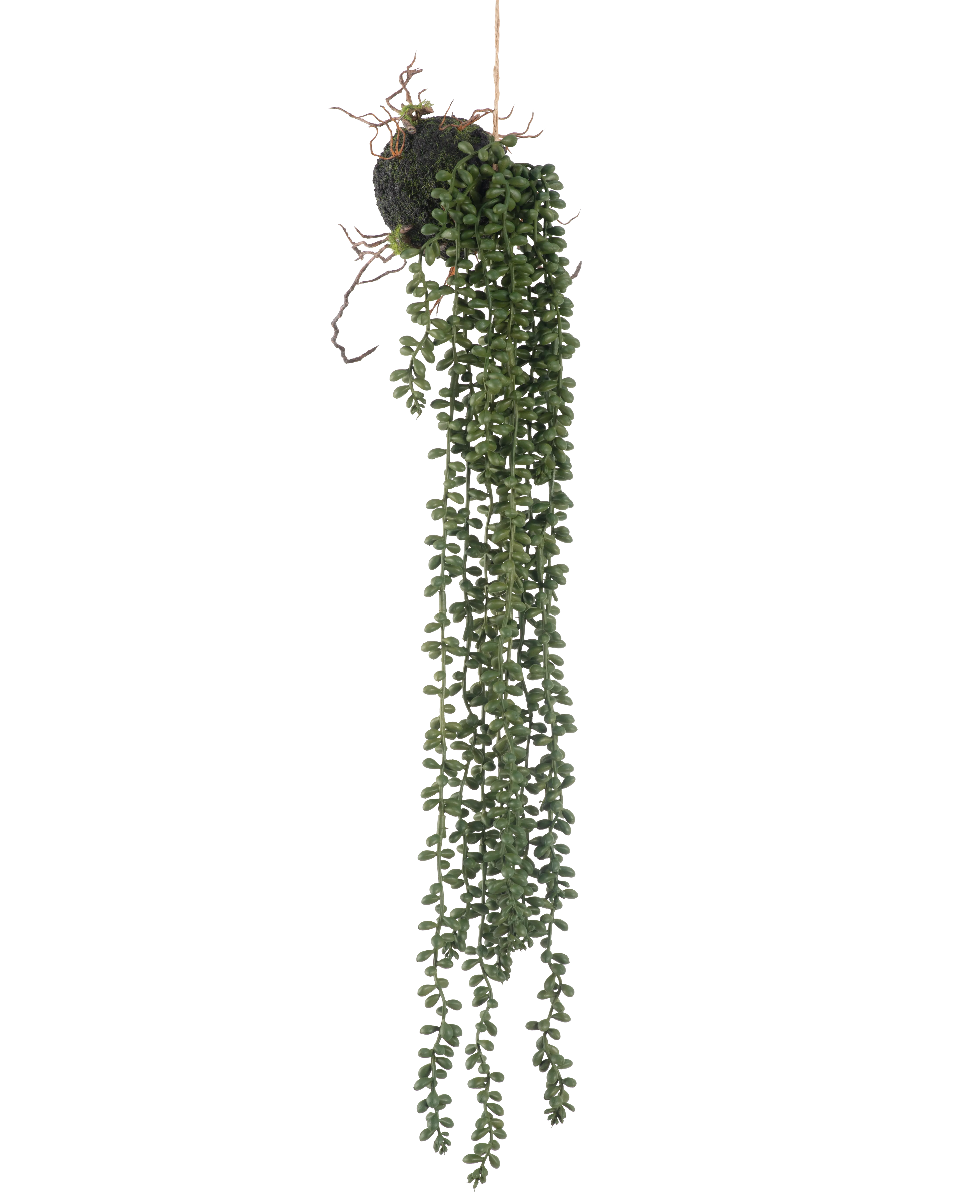 Miniatuur 1