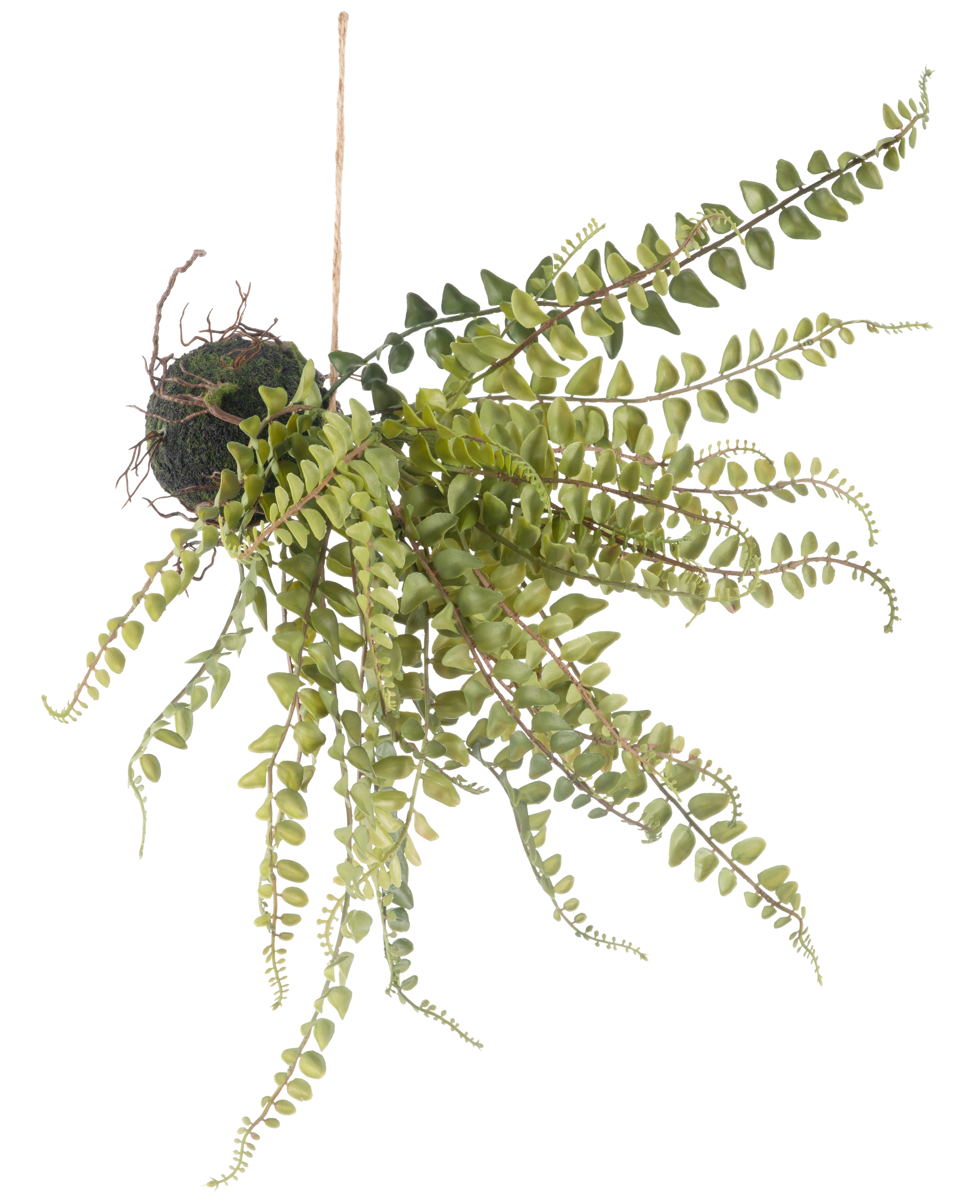 Miniatuur 1