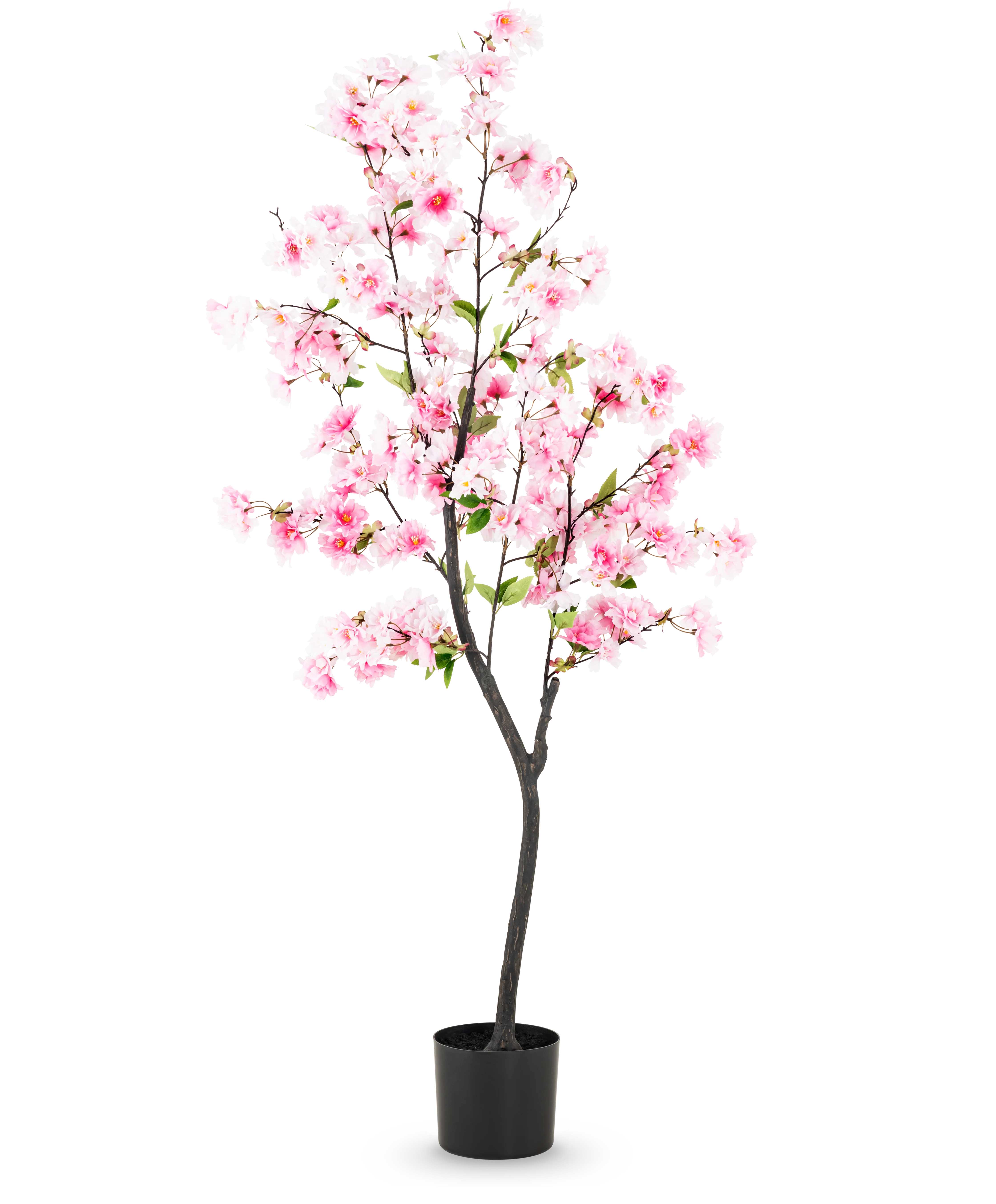 Miniatuur 1