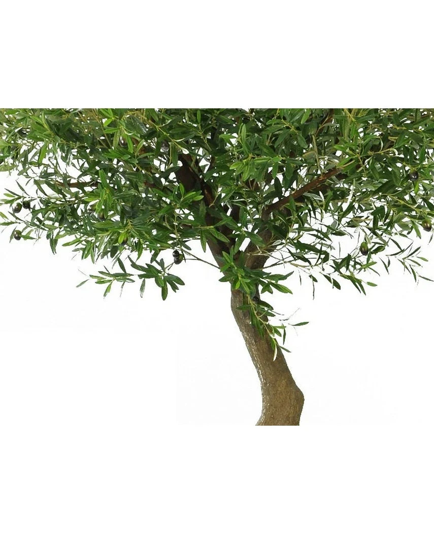 Miniatuur 2