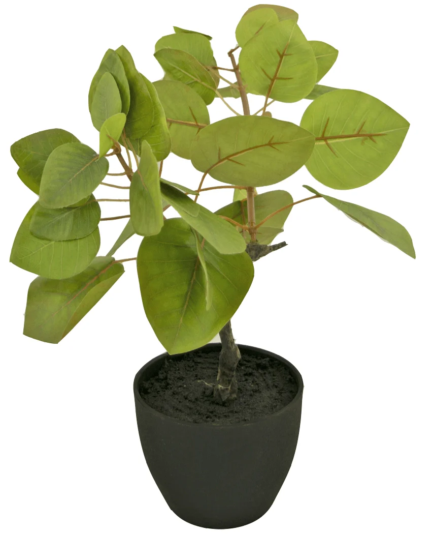 Miniatuur 1