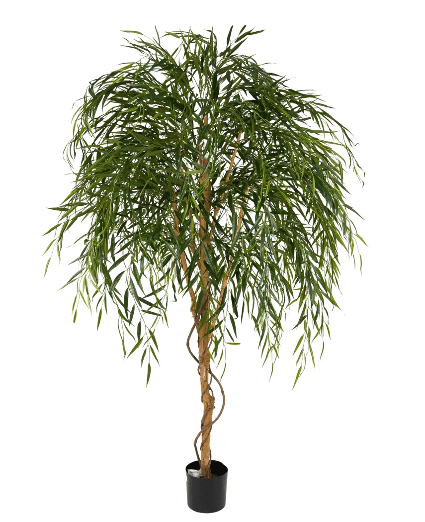 Miniatuur 1