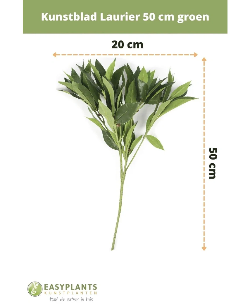 Kunstblad Laurier 50 cm groen - Image 3