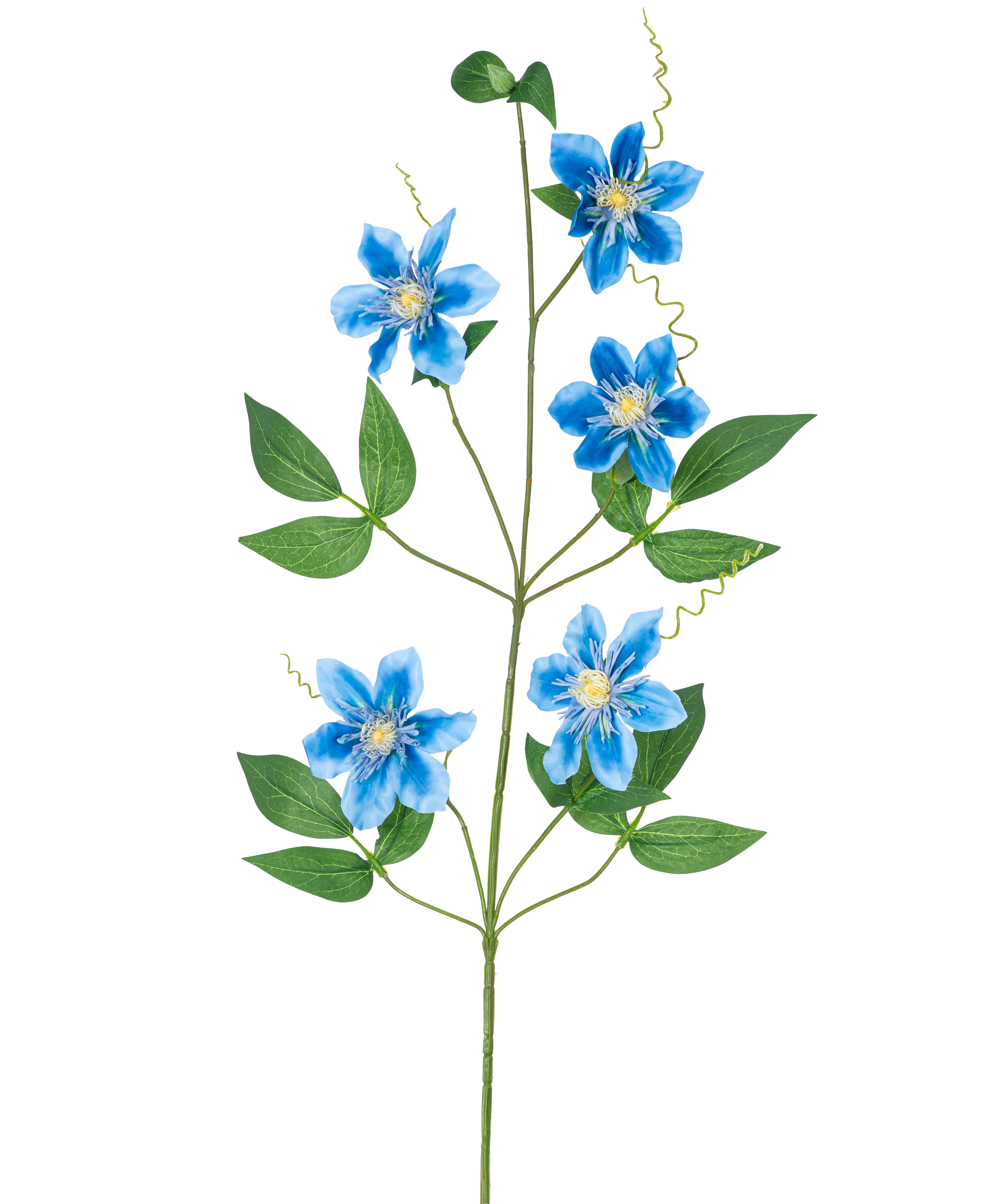 Miniatuur 1