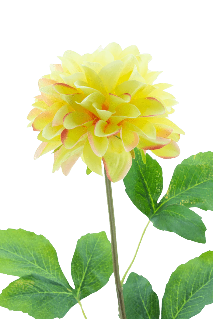 Miniatuur 2