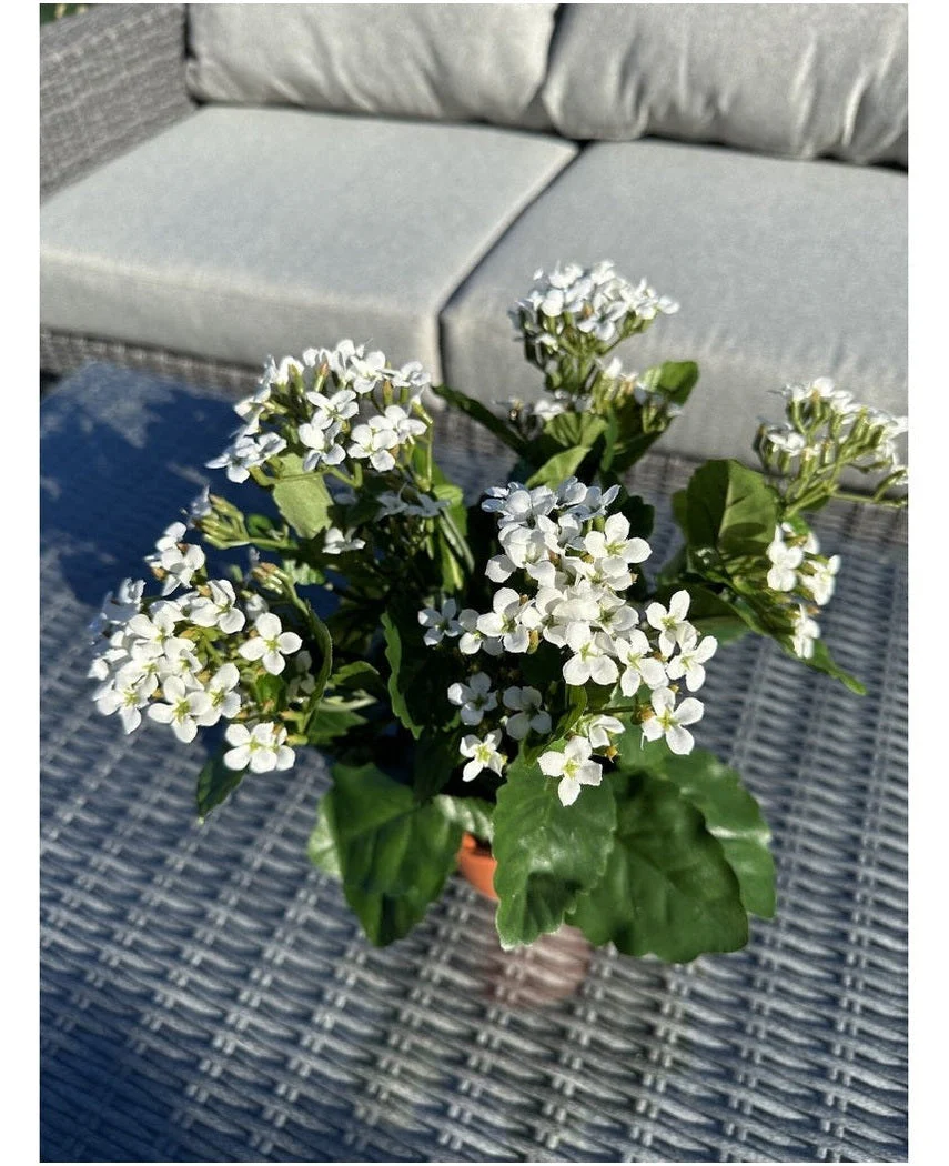 Kunstbloem Kalanchoe plant 31 cm wit - Image 4