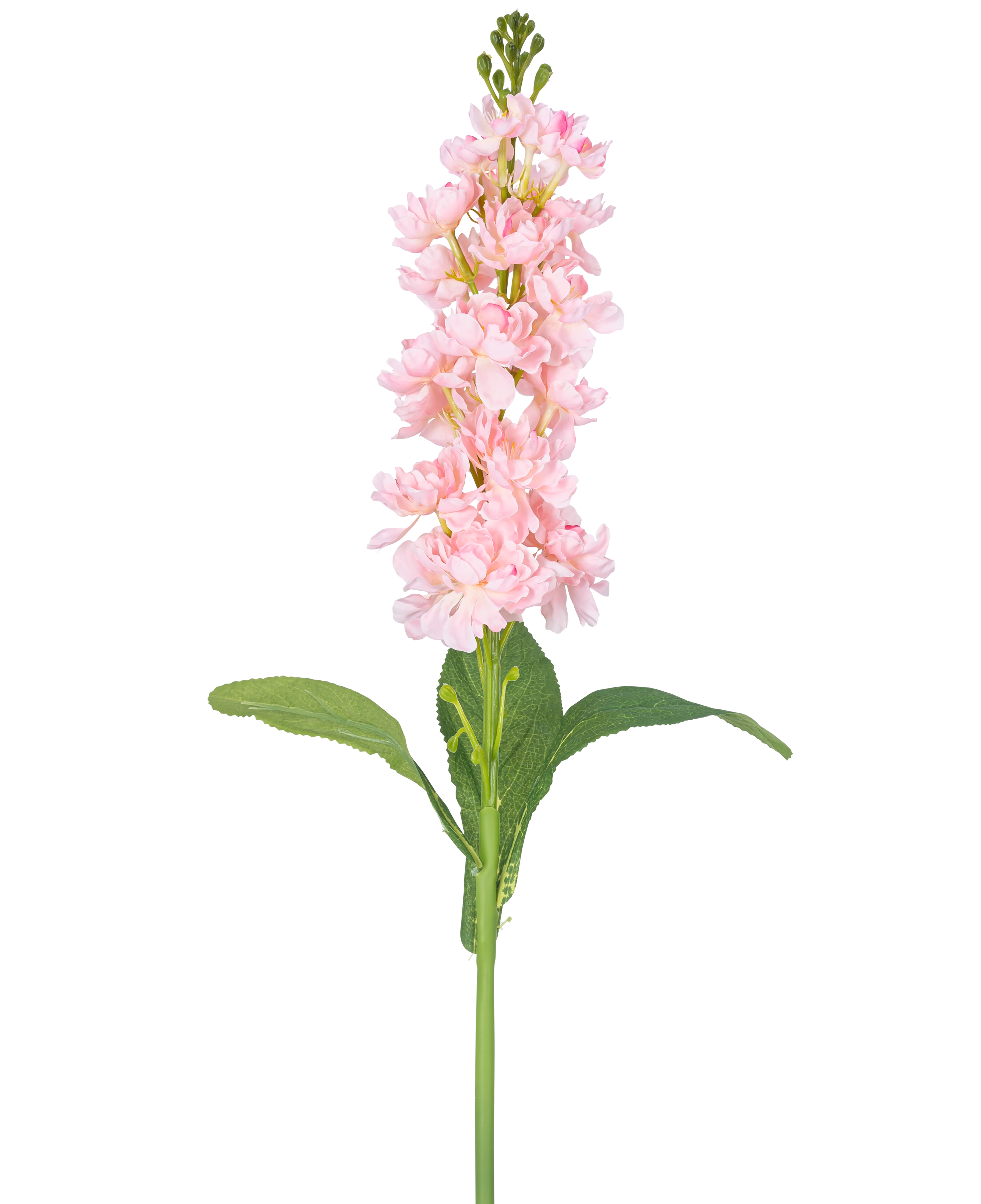 Miniatuur 1