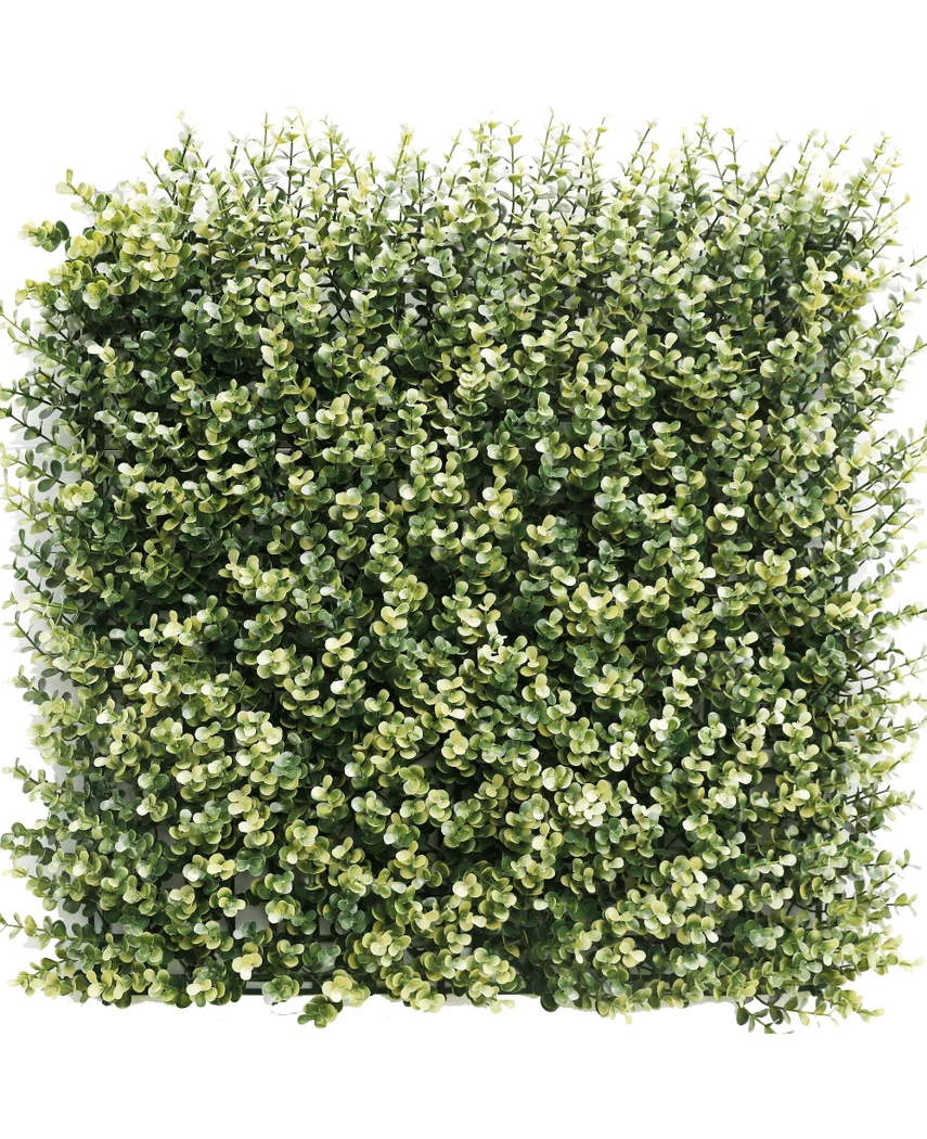 Miniatuur 1