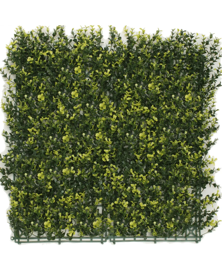 Miniatuur 1
