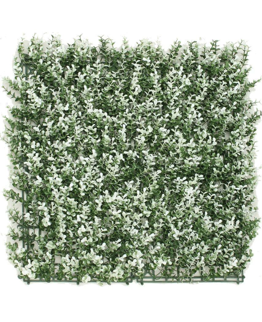 Miniatuur 1