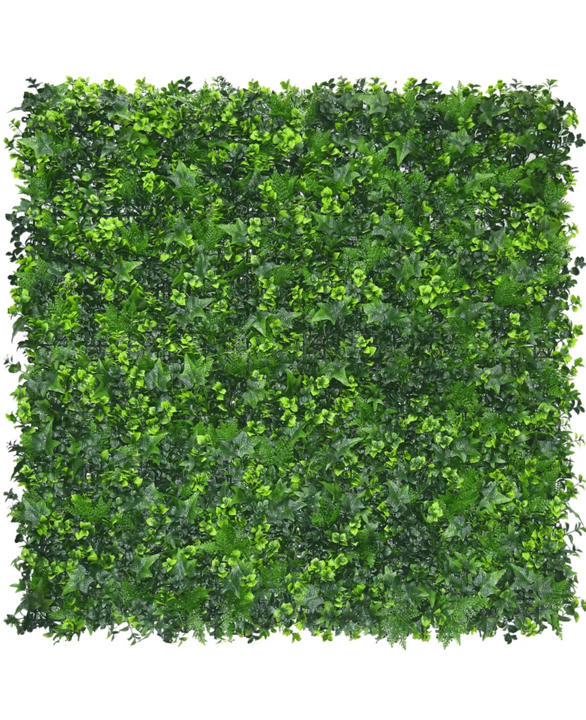 Miniatuur 1