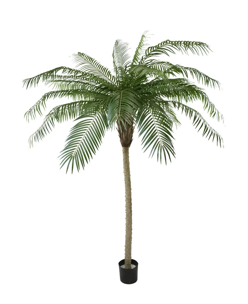 Miniatuur 1