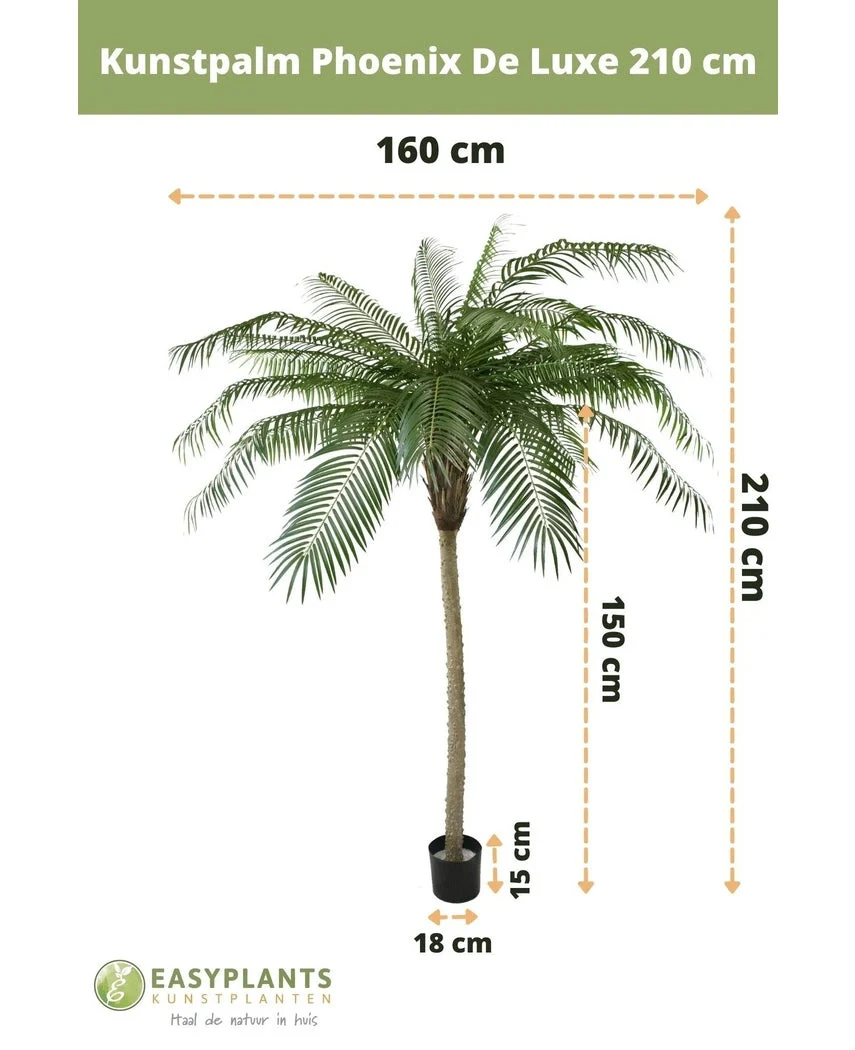 Kunstpalm Phoenix De Luxe 210 cm - Image 12