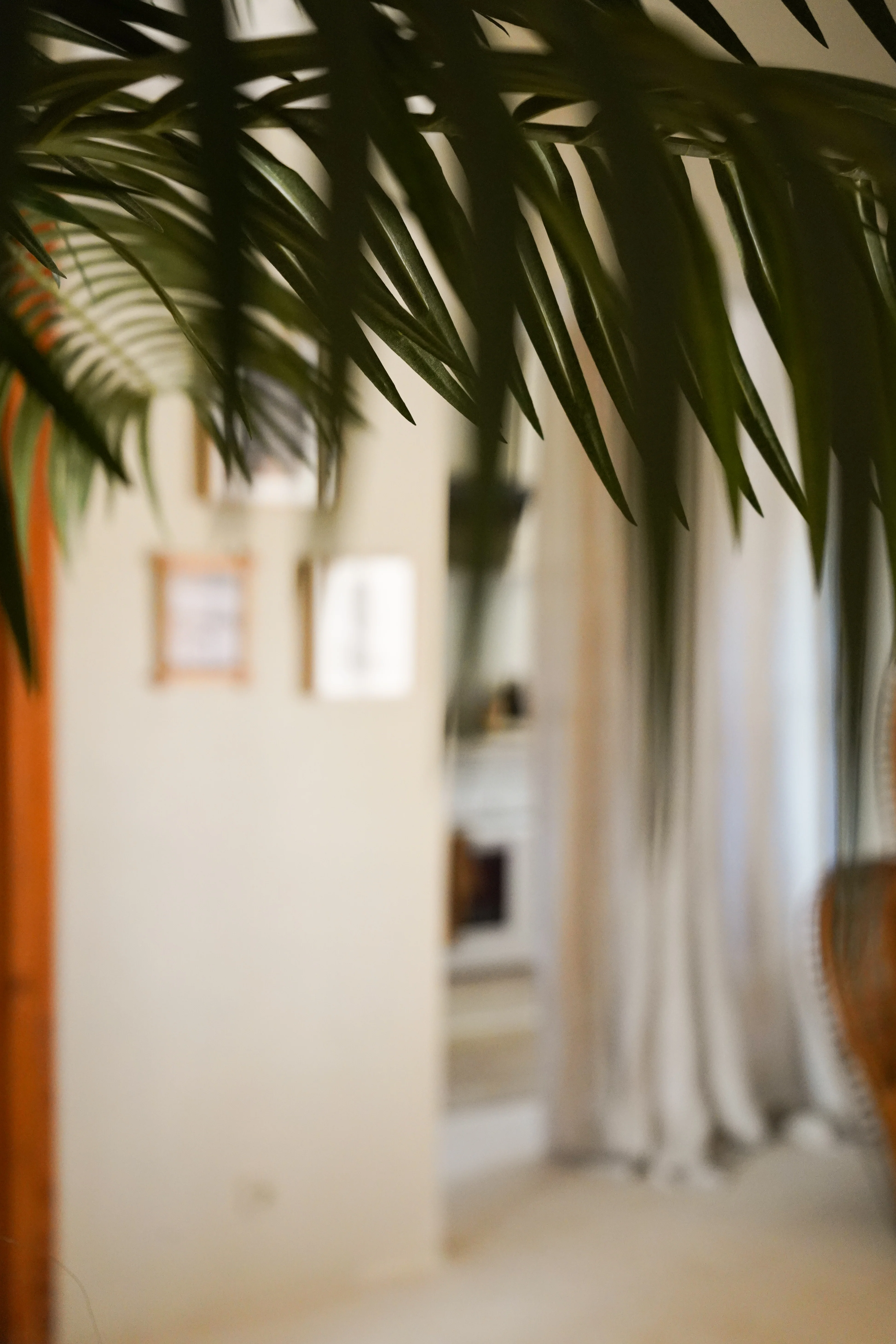 Kunstpalm Phoenix De Luxe 210 cm - Image 13