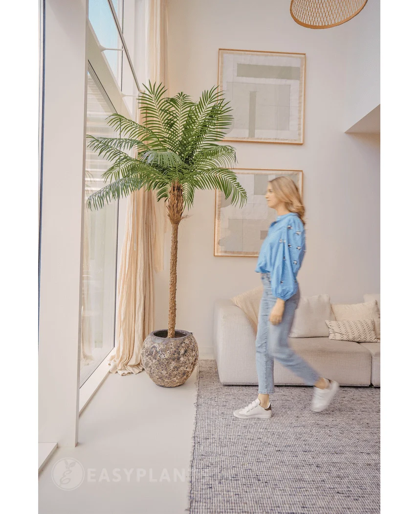 Kunstpalm Phoenix De Luxe 250 cm - Image 4