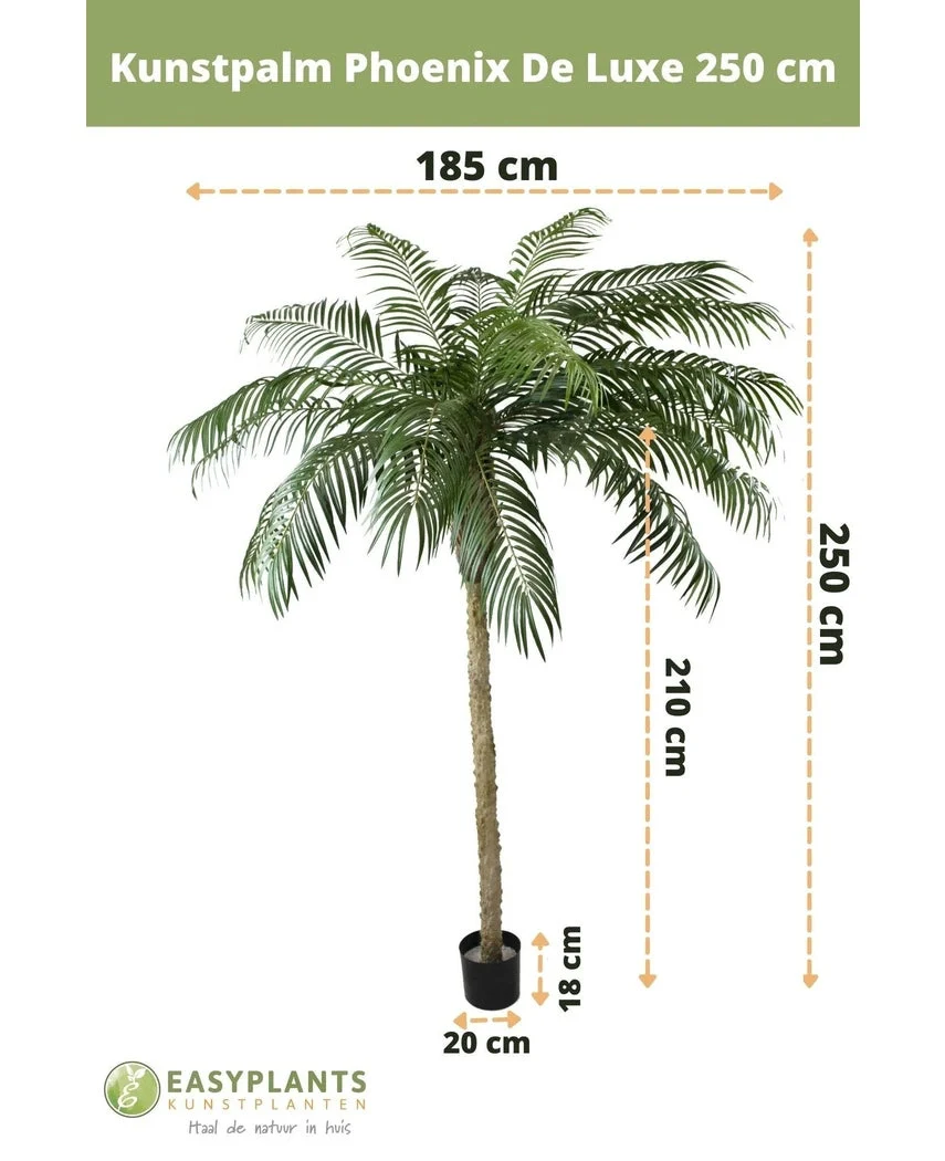 Kunstpalm Phoenix De Luxe 250 cm - Image 5