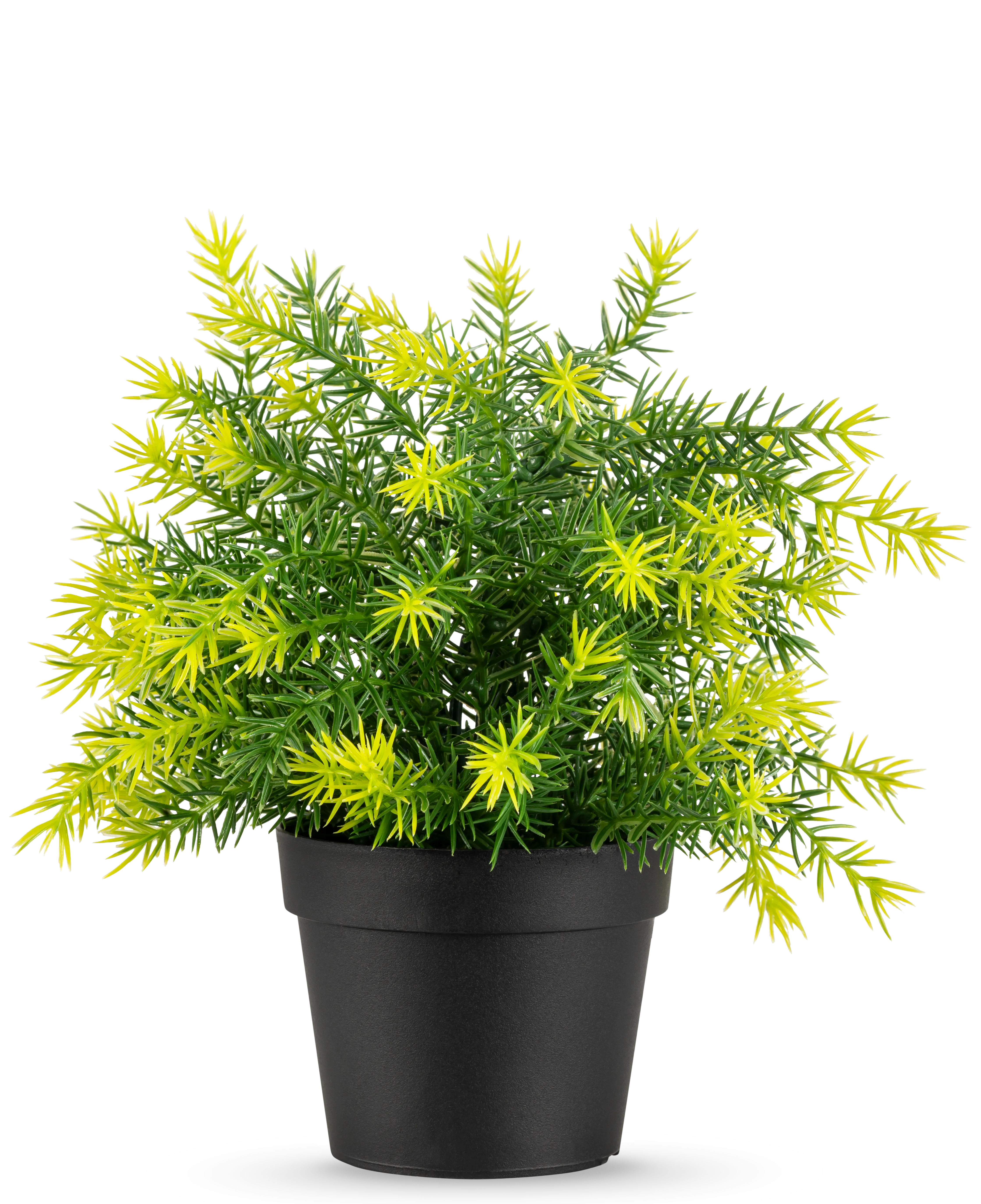 Miniatuur 1