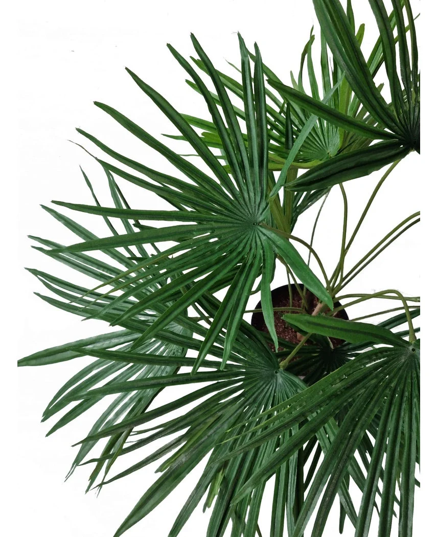 Kunstplant Baby Palm Fan in pot 50 cm - Image 3