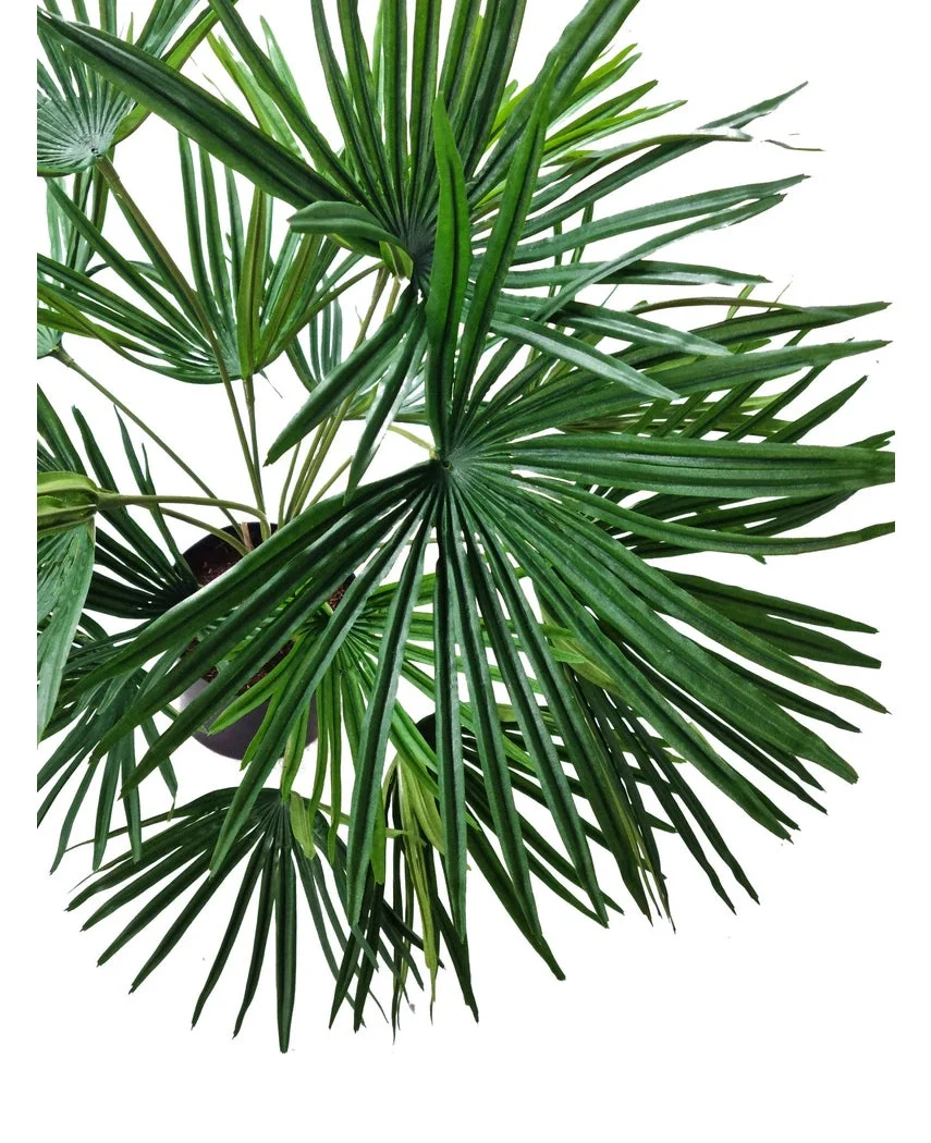 Kunstplant Baby Palm Fan in pot 50 cm - Image 4