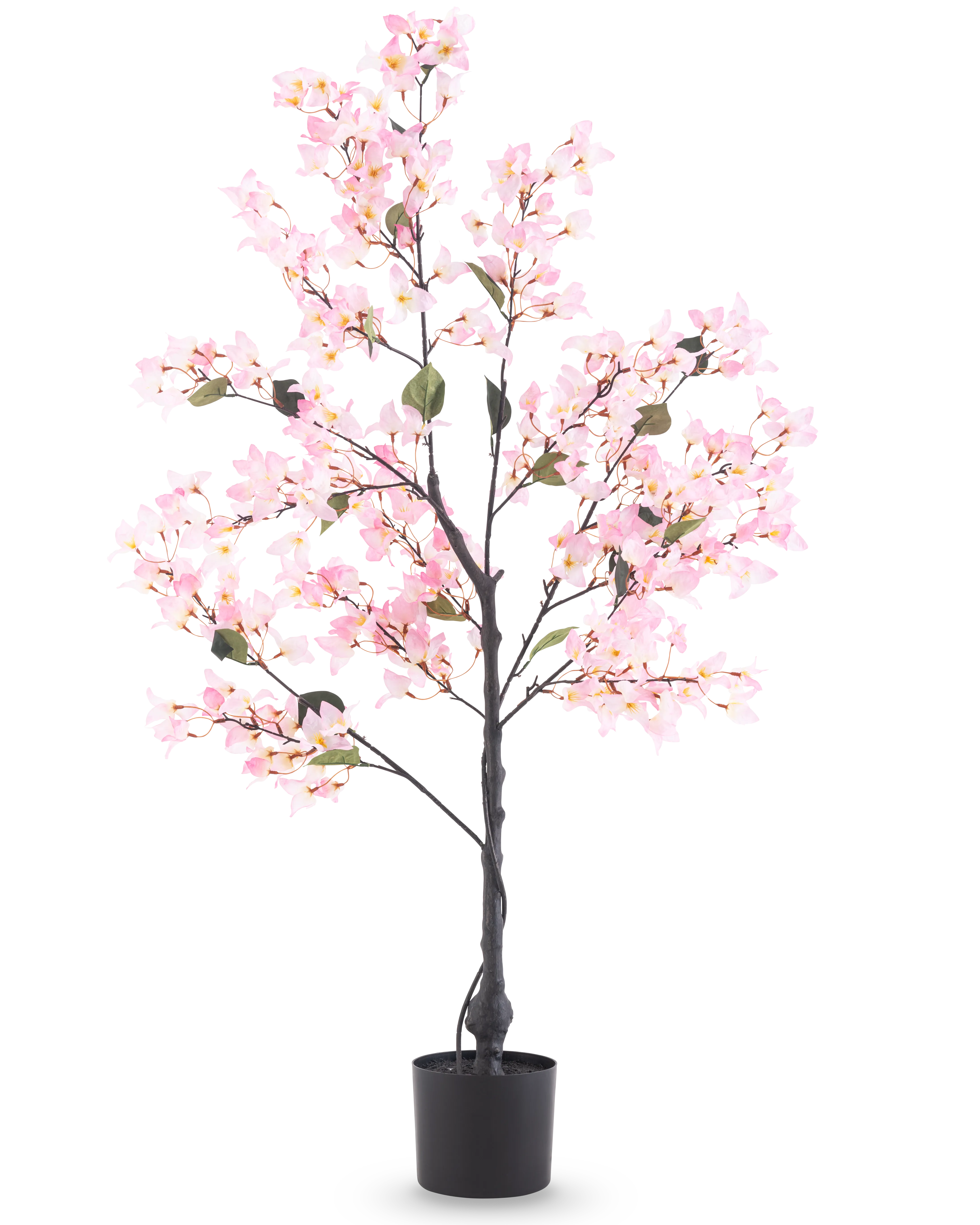 Miniatuur 1