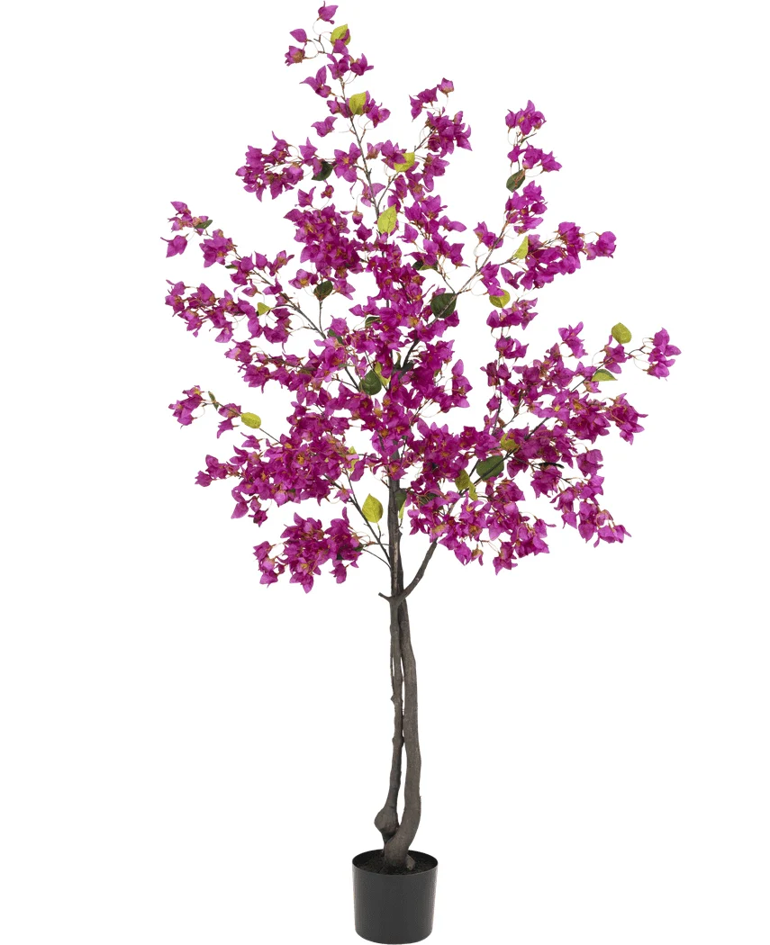 Miniatuur 1