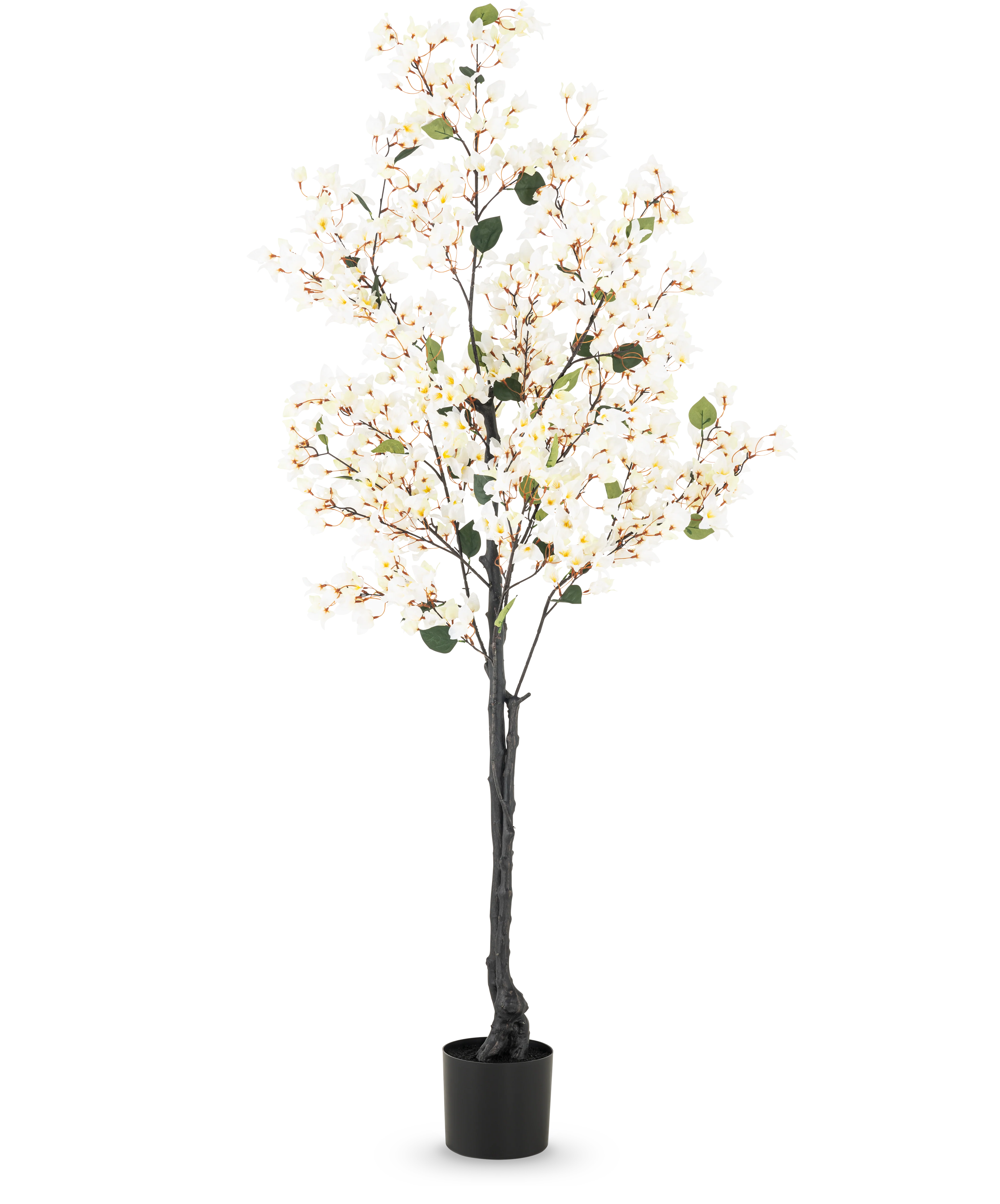 Miniatuur 1