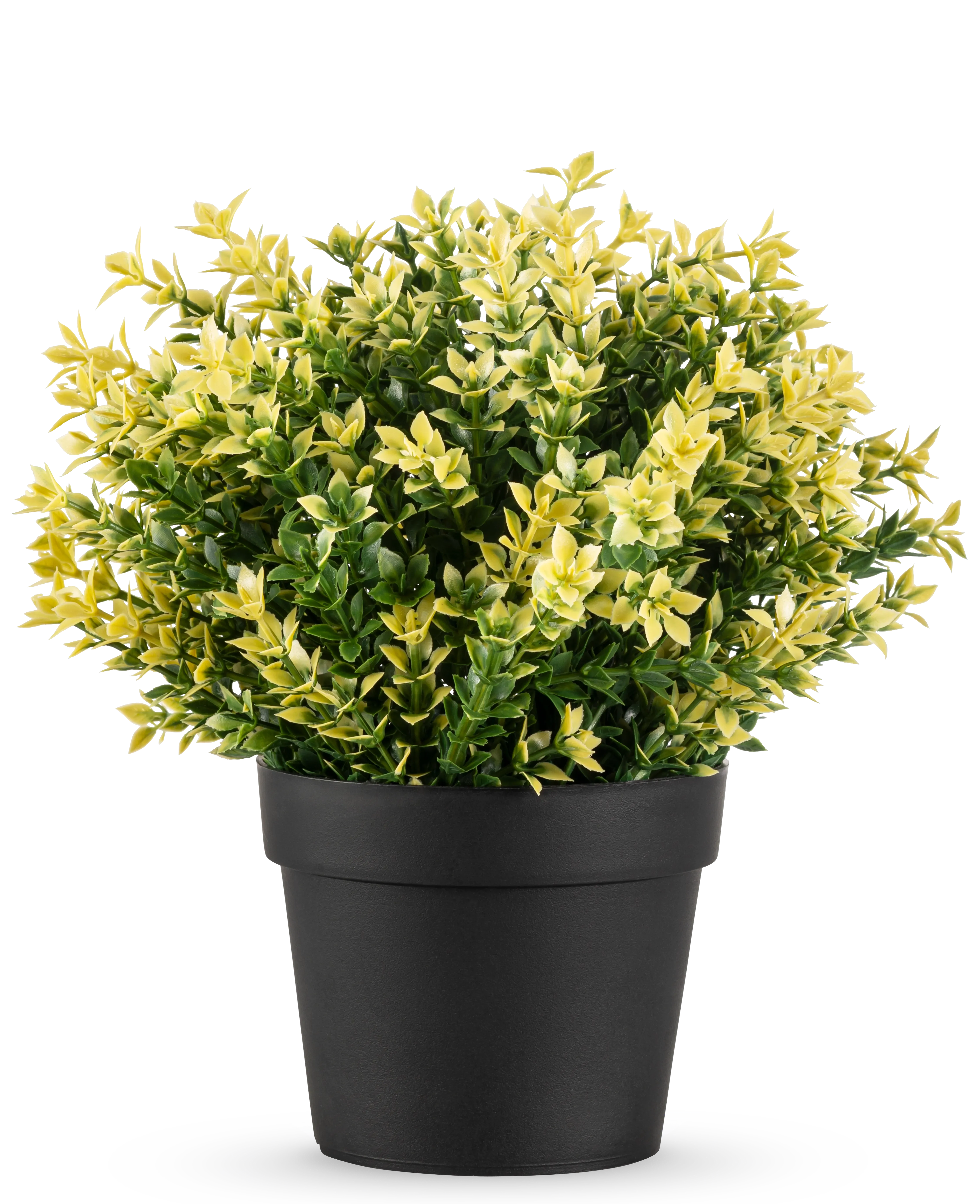 Miniatuur 1