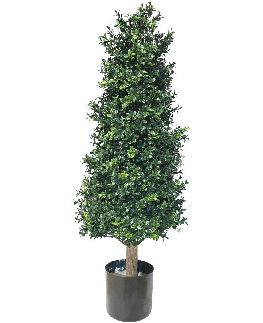 Miniatuur 1