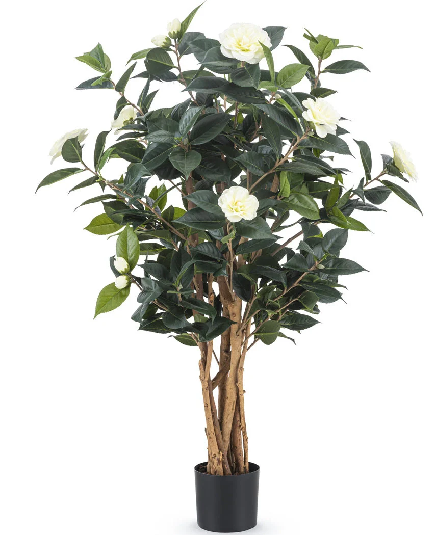 Miniatuur 1
