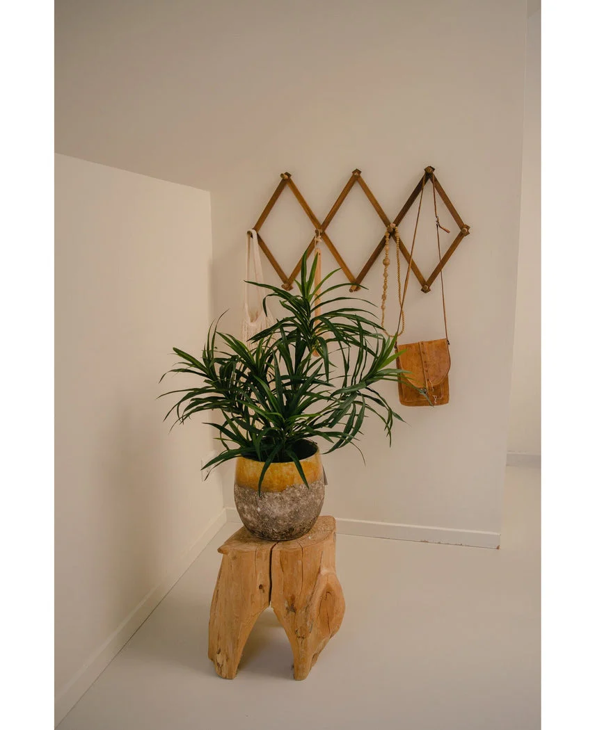Miniatuur 2
