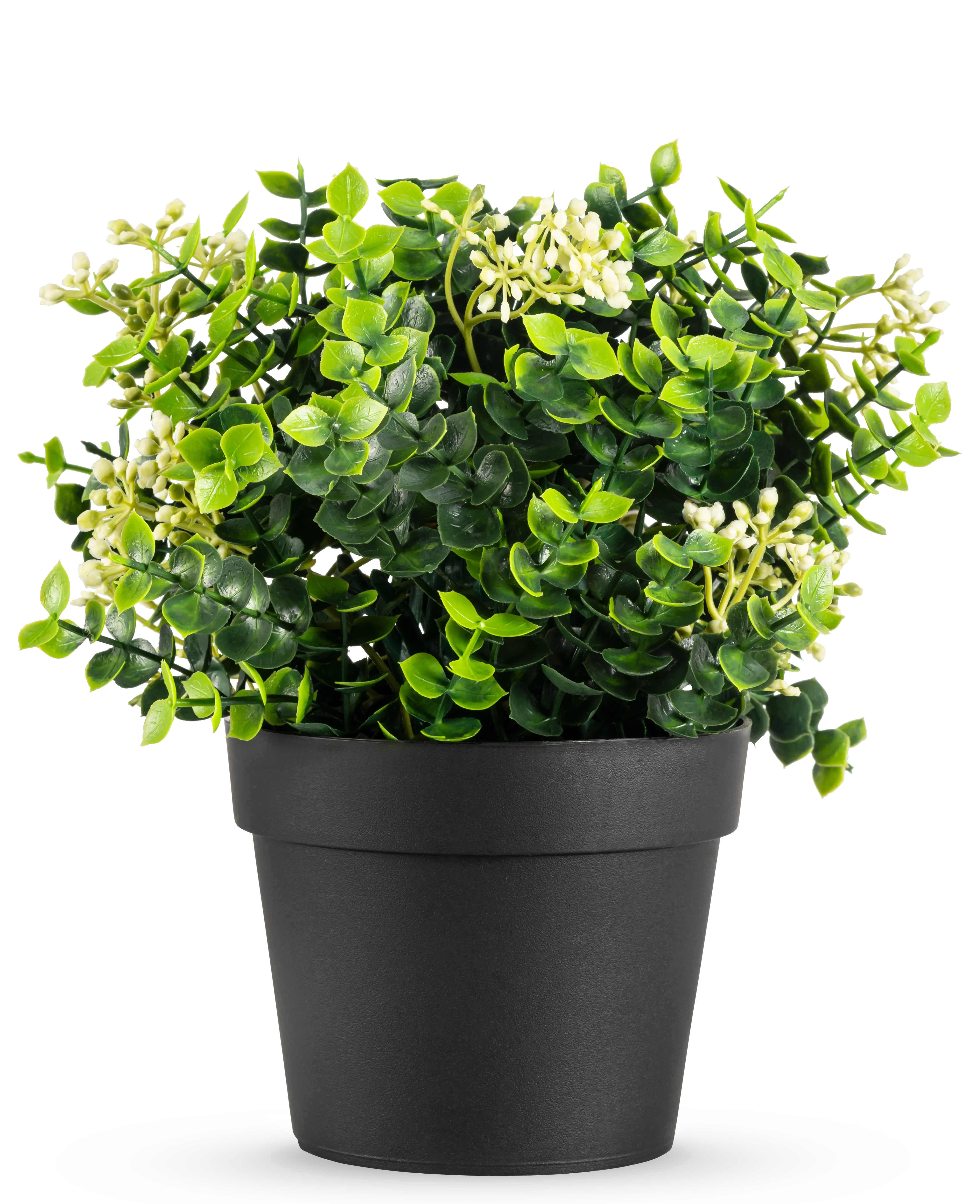 Miniatuur 1