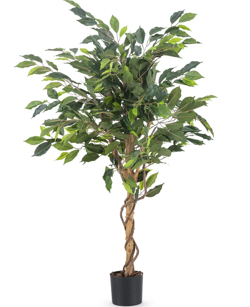 Miniatuur 1