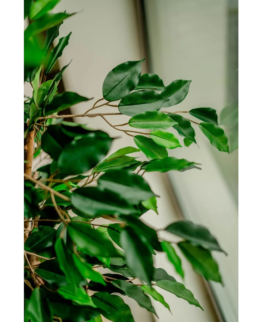 Kunstplant Ficus Groen 120 cm - Image 5