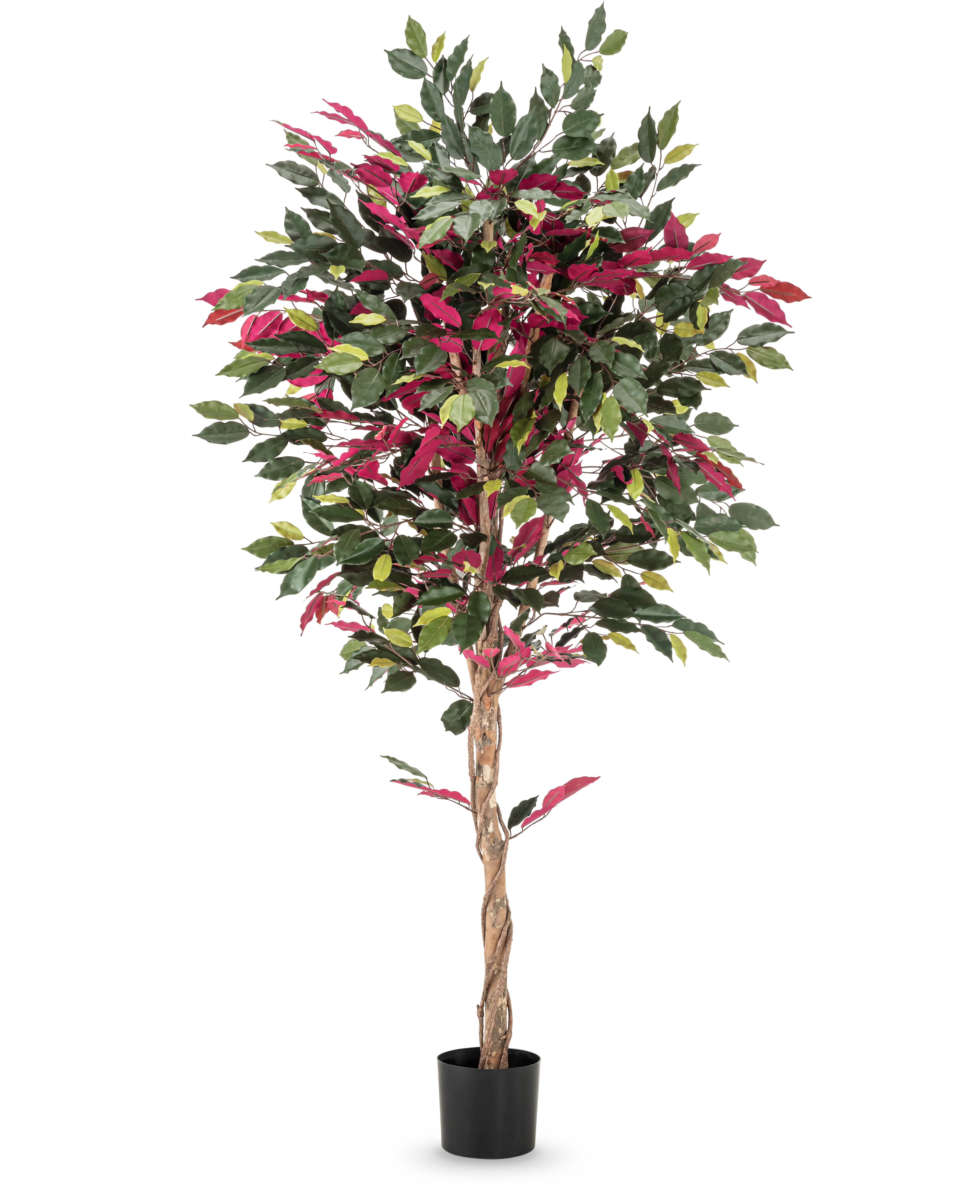 Miniatuur 1
