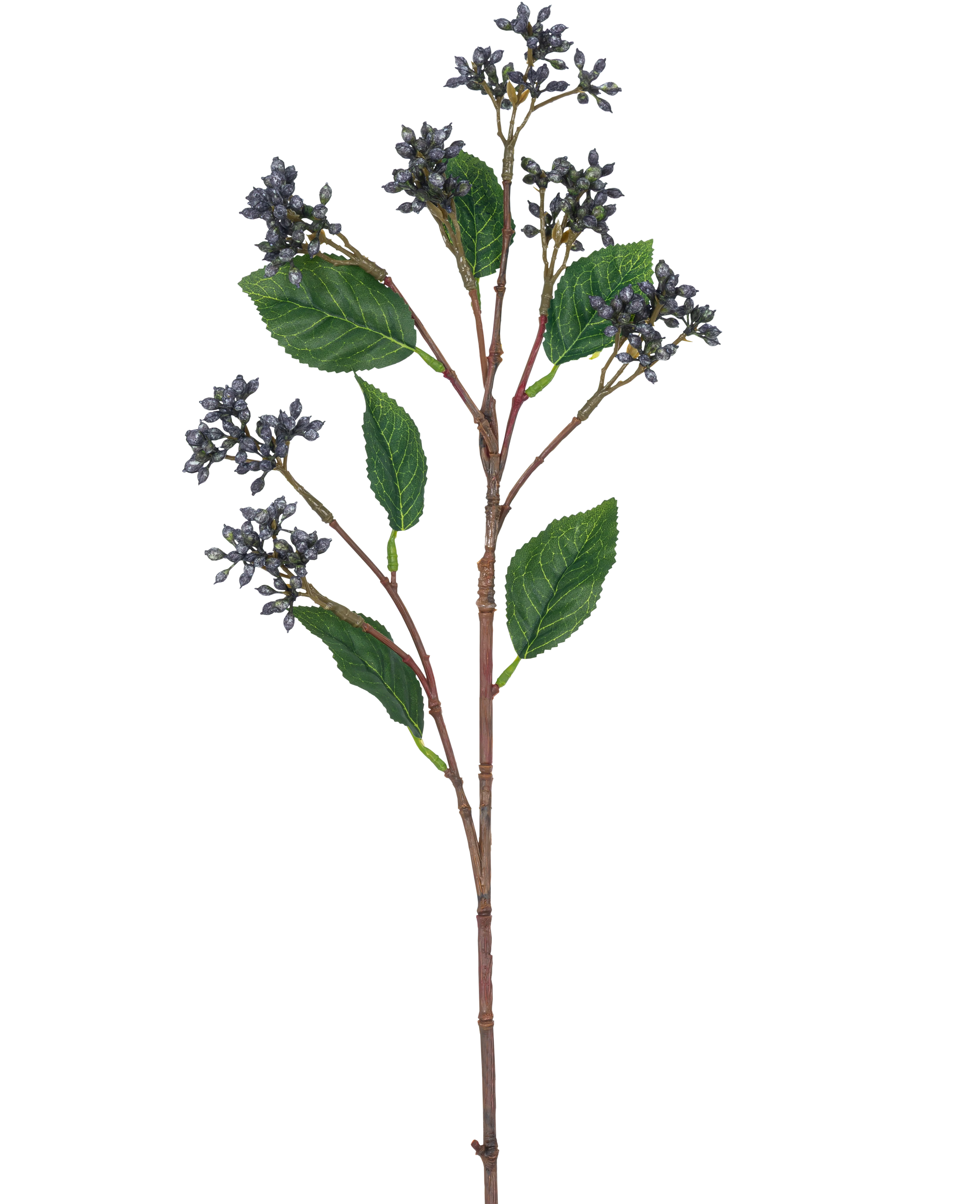 Miniatuur 1