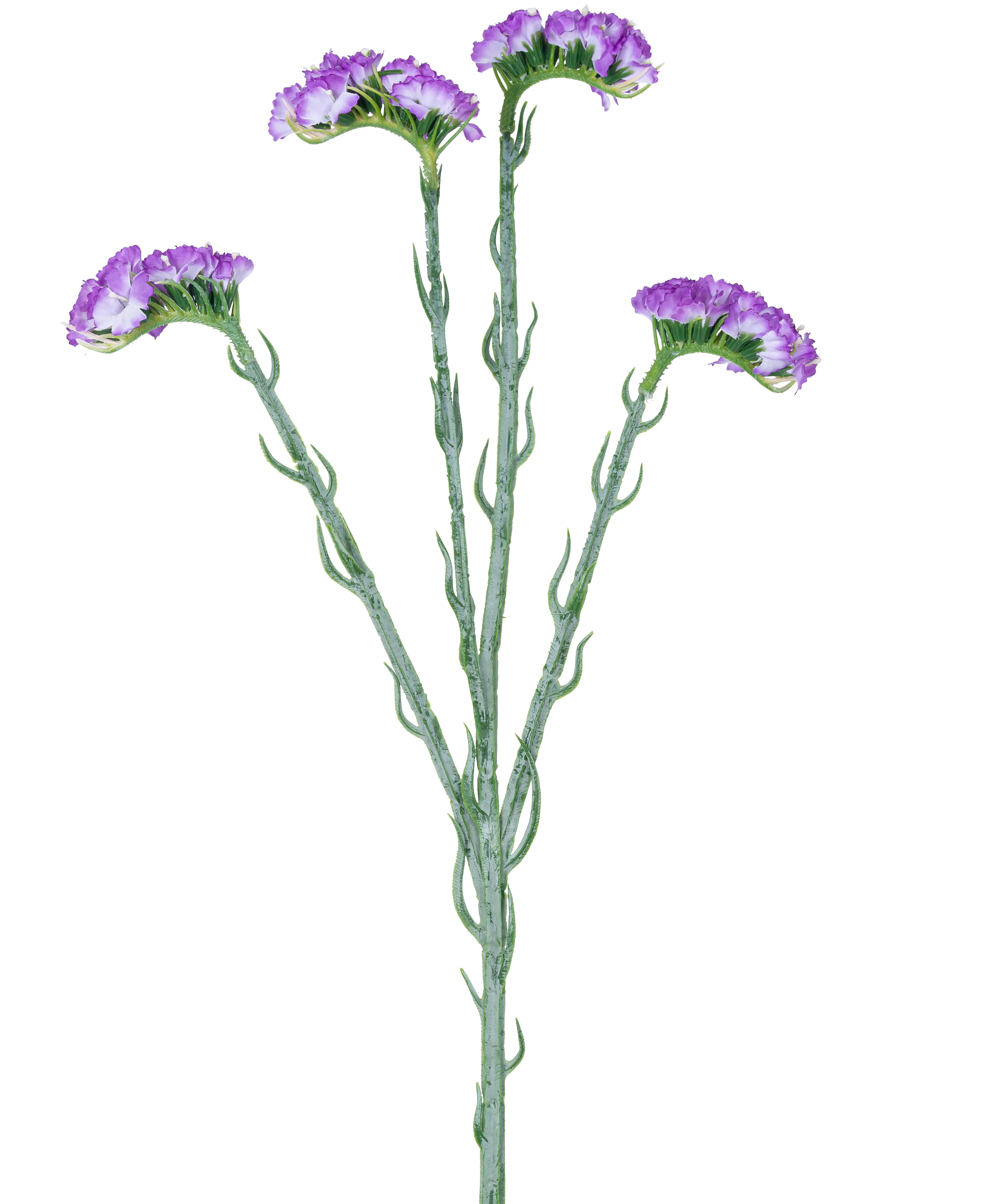 Miniatuur 1