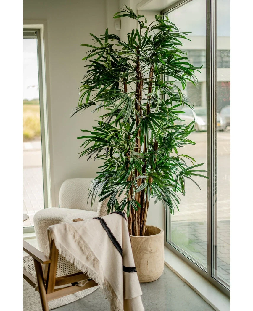 Lady Kunstpalm 210 cm - Image 4