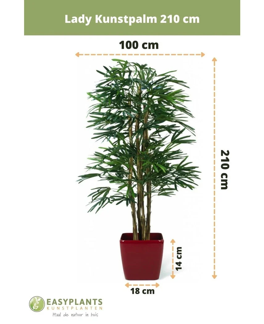 Lady Kunstpalm 210 cm - Image 7
