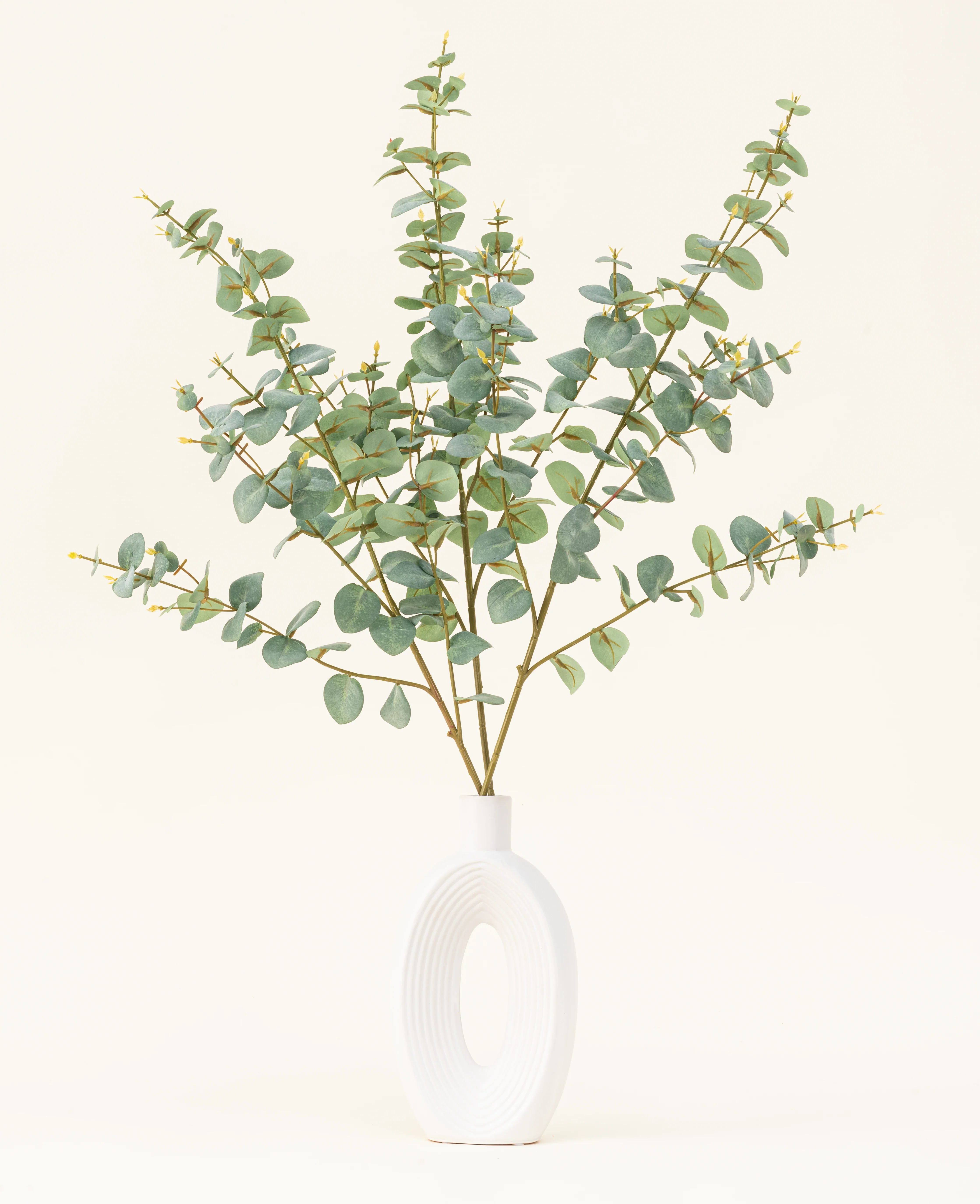 Miniatuur 1